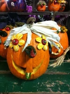 Met eenvoudige middelen en een beetje fantasie kun je de gekste dingen met je Halloween pompoen uithalen.