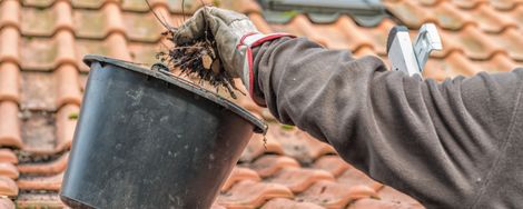 Summer jobs at your house