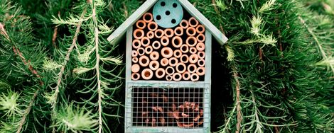 Make your own bee hotel