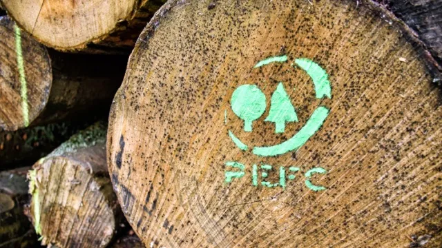 boomstam met PEFC logo