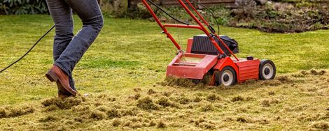 Scarifying for a Healthy Lawn