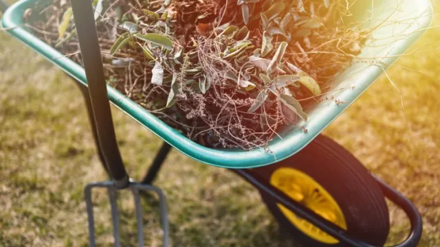wheelbarrow with garden waste