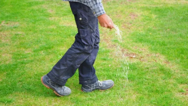 man fertilizes the lawn