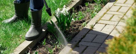 A high-pressure cleaner is a versatile garden tool