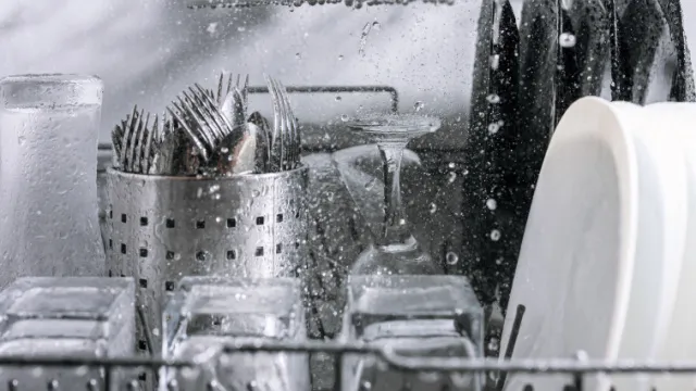 inside of the dishwasher