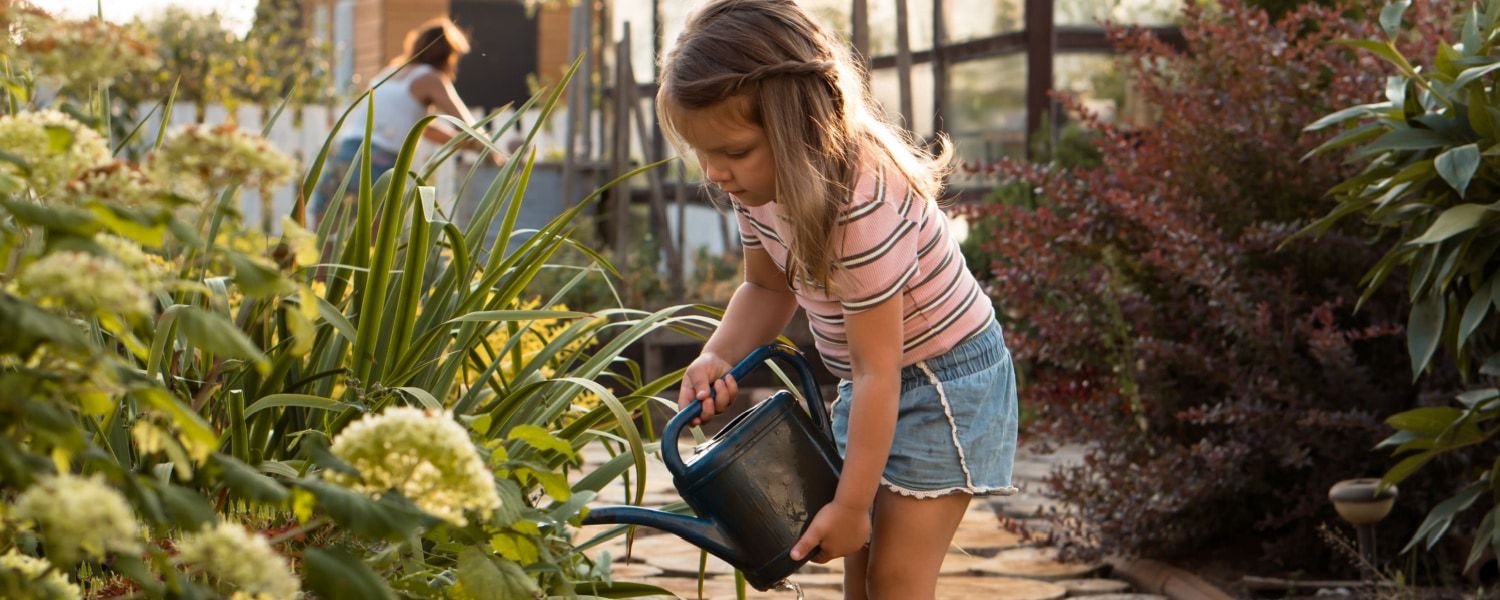 Garden jobs in June