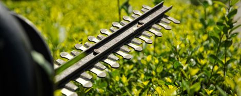 3 Hedge Trimmers Compared
