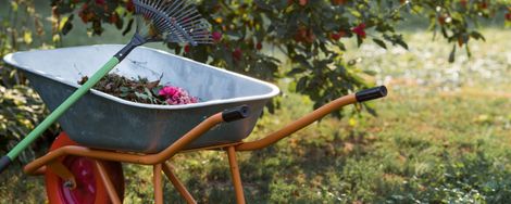 30 garden tasks before real winter arrives