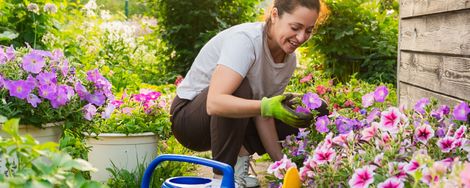 10 hoogzomer tuintips