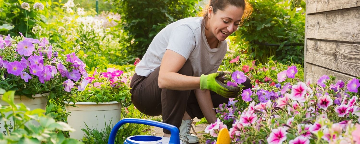 10 Midsummer Gardening Tips