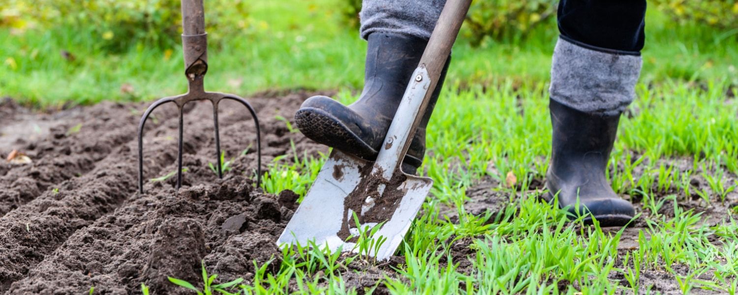 Garden jobs in March