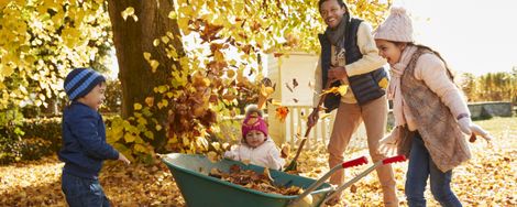 Useful gardening tools for autumn