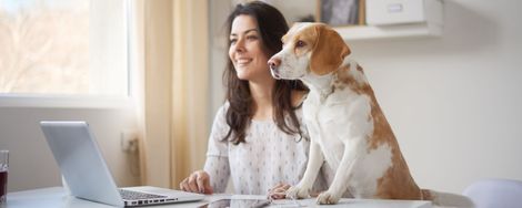 Creating a Home Office