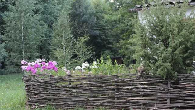 wilgenmat tuinschutting