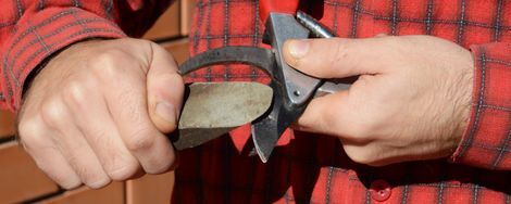 Sharpening your pruning shears