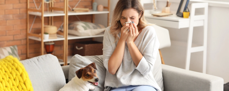 Tackling air pollution at home