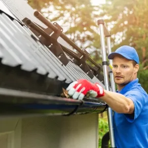 Roof maintenance
