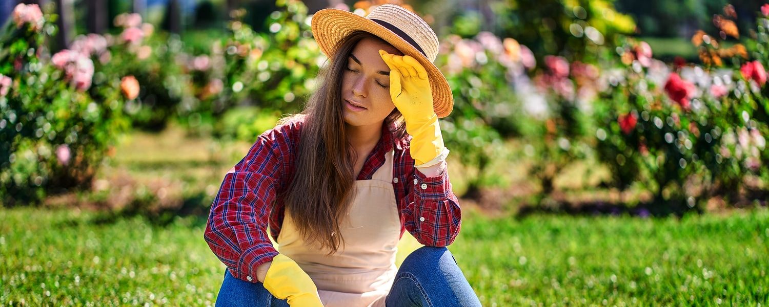 Cool garden tips for a hot summer