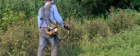 Working with the brushcutter: here’s how you do it safely and efficiently.