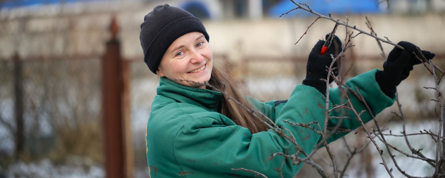 Garden jobs in December