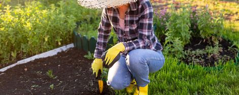 Garden jobs in September