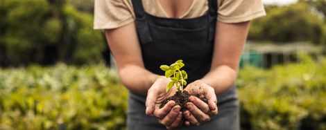 Tips for creating a self-sustaining garden
