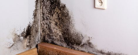 Moisture problems at home: causes and solutions