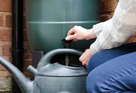 woman holds watering can under rain barrel