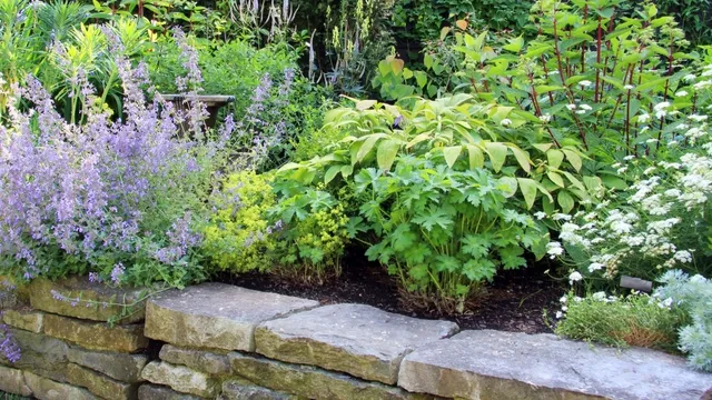 raised garden border