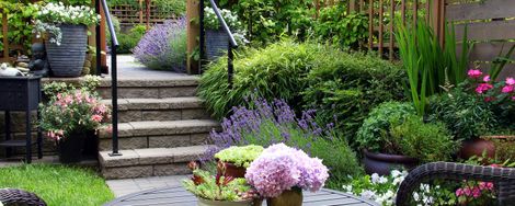Tips for a small garden