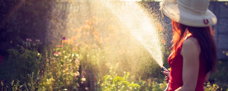 Watering your the garden