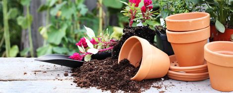 The benefits of a potting table
